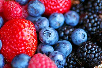 Forest fruits - berries