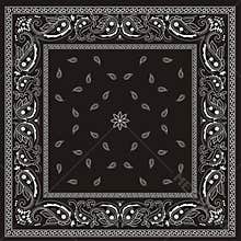 Paisley bandana pattern