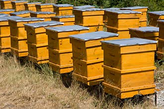 Beehives