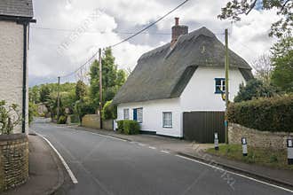 Thatched Cottage in an English Village