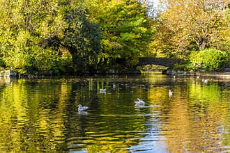 A bright Autumn day in St Stephen`s Green Park, Dublin, Ireland