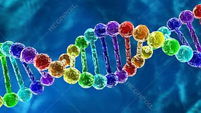 Rainbow DNA - deoxyribonucleic acid animation