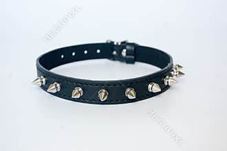 collar with spines. black with spines