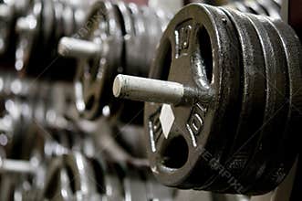 Weight dumbbell in a gym