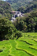 Rathna Ella, at 111 feet, is the 10th highest waterfall in Sri Lanka, situated in Kandy District.