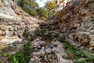 Hiking Trail to the Pedernales River on the Reimers Ranch in Texas