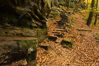 Hiking the GR5 trail in the Benelux