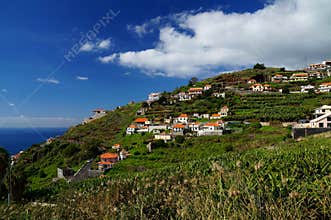 White mediterranean houses on a steep hillside surrounded by banana plantations.