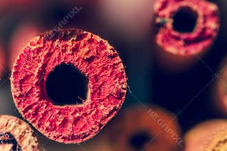 Texture of the stems of the cobweb. Geometry of nature.