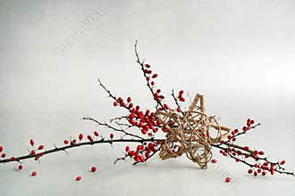 Christmas star