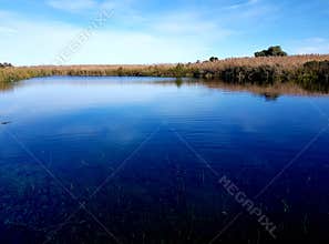 Ewen`s Ponds, pristine freshwater ecosystem