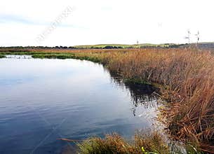 Ewen`s Ponds, pristine freshwater ecosystem