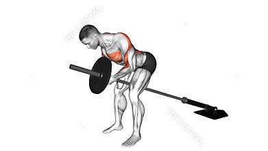Barbell bent-over row exercise