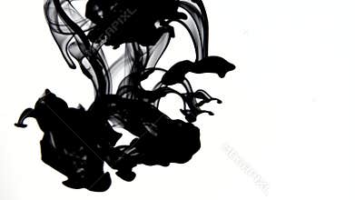 Black ink video with 4k resolution