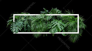 Tropical leaves foliage jungle plant bush nature backdrop with w