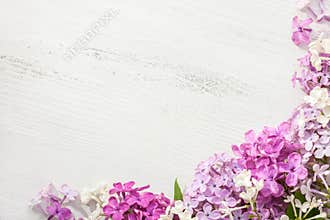 Tiny flowers of Lilac on an old wooden background. Floral border