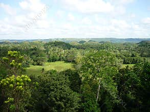 Generic vegetation of Bohol, Philippines