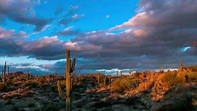 Arizona desert sunset time lapse video with cactus