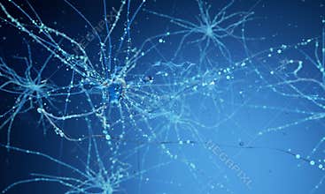 3d neuron cells