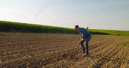 Agricultural Tool Is Hoeing Field