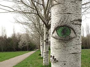 The watchful eye of nature observes you