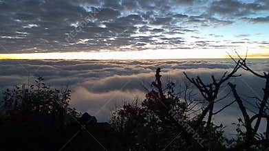 Morning Mist and Fog Moving Slowly From View Point in Sunrise Time at Doi Luang Chaing dao , High Mountain in Chiangmai Thailand