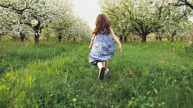 Little girl runs through a flowering garden