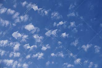 Fantasy flock of clouds taking the shape of fish swims across the sky