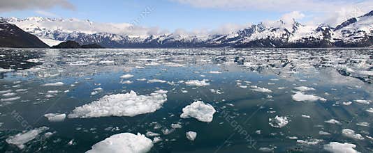 Icebergs and Mountains Panoramic - Kenai Fjords