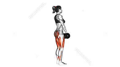 Dumbbell Romanian Deadlift exercise