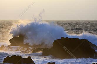 Branding rotskust, Azoren; Surf at rocky coast, Azores