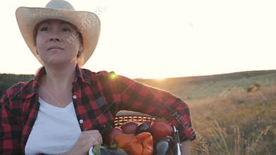 Woman farmer is carrying a box full of vegetables. Organic food. Healthy lifestyle.