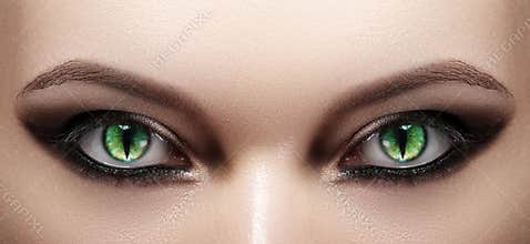 Close-up of Woman Eyes. Halloween Makeup. Cat Eye Lens. Fashion Catwalk Black Make-Up. Luminous Green Cats Eyes