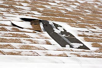 Winter Damaged Roof Shingles