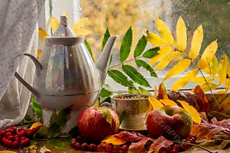 Beautiful composition of wet leaves of Rowan and fresh apples