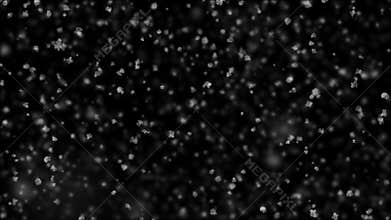 Gentle Christmas Snow Falling on Black Background with Slow Breeze Seamless. Slow Motion Looped 3d Animation. Alpha