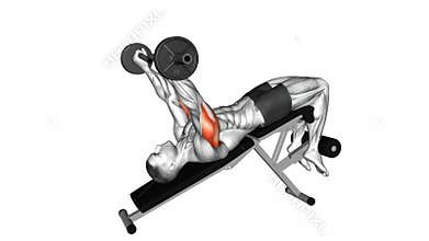 EZ-Barbell Decline Triceps Extension exercise