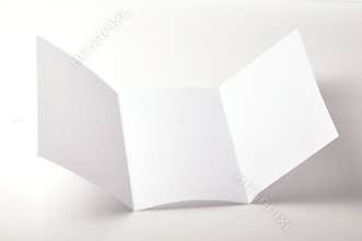 Blank brochure