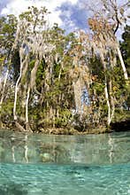 Crystal River Scenic