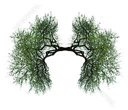 Tree lungs