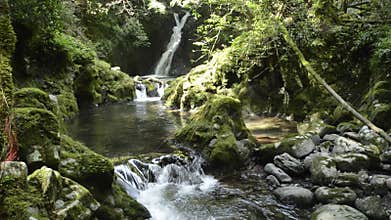 Waterfall and gentle brook