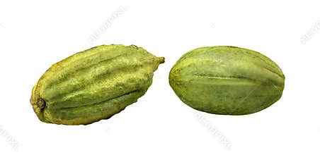 Cocoa fruit