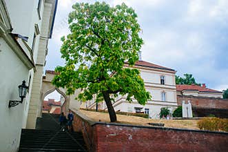 Czech Republic - Moravia - Brno cathedral court 3