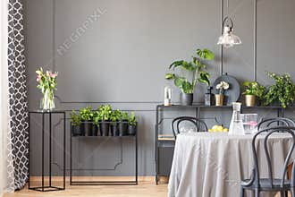 Flowers on black table next to plants in grey dining room interior with chairs and lamp. Real photo