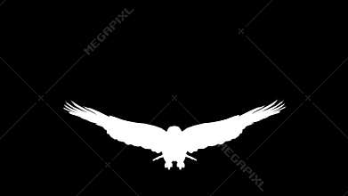 Silhouette of a flying eagle. Alpha channel. Alpha matte. FullHD.