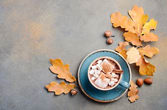 Hot Chocolate with Marshmallows and Autumn Leaves