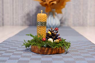A Christmas candle in the exposition with a pine cone and juniper twigs on a cherry cut. PNG.