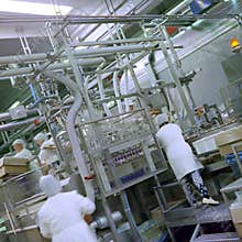 Food industry
