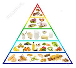 Food pyramid