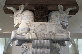 Bull statue of Darius king of Persia palace